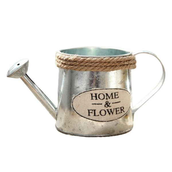 Vintage Metal Handicraft Watering
